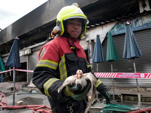 Supporting image for story: Fire at famous Thailand market kills hundreds of caged animals