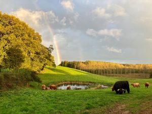 Supporting image for story: Walk and enjoy three-course meal at picturesque private estate near Ellesmere