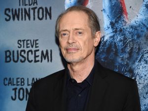 Supporting image for story: Actor Steve Buscemi punched by man in New York