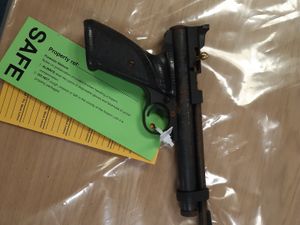 Supporting image for story: Scouts find pistol stashed in a hedge during litter pick