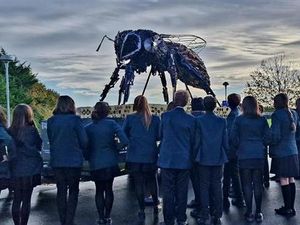 Supporting image for story: Anti violence bee creates a buzz on flying visit to Leominster
