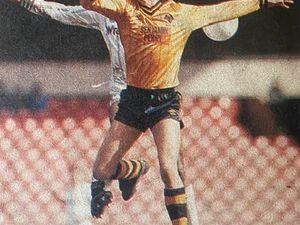 Supporting image for story: Four decades on from one of the lowest Molineux crowds and the dark days at Wolves