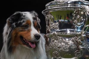 Pastoral Group winner Viking
