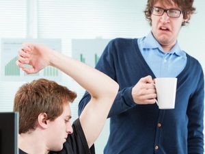 Supporting image for story