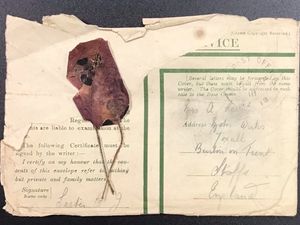 Supporting image for story: WWI poppy picked by fallen soldier's brother goes up for auction 