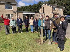 Supporting image for story: Tree planting in Oswestry as part of the Queen's Green Canopy