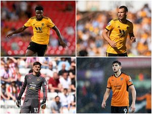 Supporting image for story: Wolves' loan rangers: How have they performed?