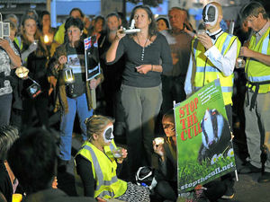 Supporting image for story: Shropshire farmers told to unite on badger cull