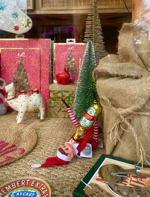 Shrewsbury's Elf Trail is back. Picture: Jasmine, Vinegar Hill, Shrewsbury.