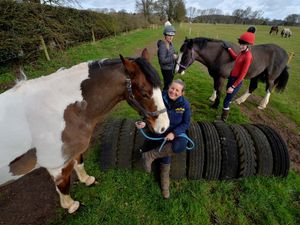 Supporting image for story: Appeal to help riding school after lockdown rule change delays reopening