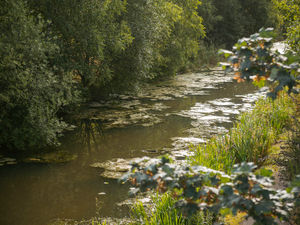 Supporting image for story: Toxic chemical spillage warning extended as more than 14 miles of Black Country canals are affected - here's where