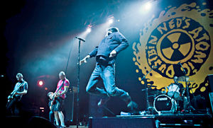 Ned's Atomic Dustbin