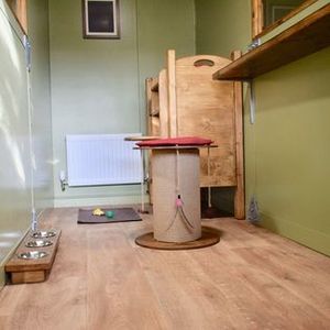 Bunk beds and play equipment at the cat hotel. Picture courtesy of Tudor House Luxury Cat Hotel