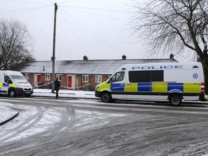 Supporting image for story