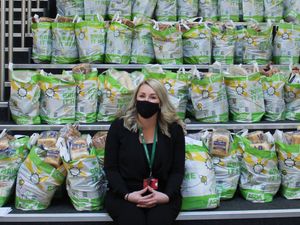 Supporting image for story: Telford school steps up to help families with its own food bank