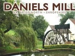 Supporting image for story: Shoulders to the wheel at Mill