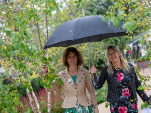 Supporting image for story: New garden for spinal injury patients opens at Shropshire hospital