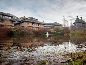 Supporting image for story: Senior council chiefs set to cotinue in interim roles for up to another year 