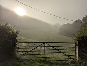 Dolwen is a hillside cottage garden with upper and lower levels sloping down to River Dulas