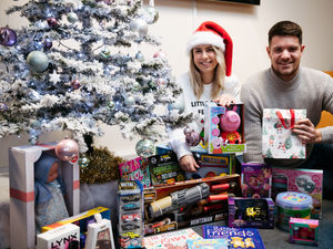 Supporting image for story: Computer recycling business chips in to help our toy appeal