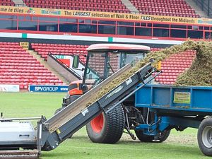 Supporting image for story: Walsall pitch in to turf work