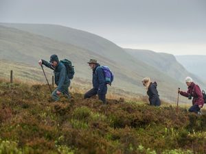 Supporting image for story: Radnorshire Wildlife Trust secures Natural Resources Wales funding to help protect and restore peatlands
