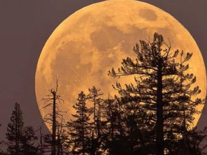 Supporting image for story: Shropshire Sky At Night – April