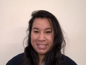 Supporting image for story: Planning fences to clear for livery businesses