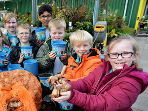 Supporting image for story: Telford pupils planting for the future