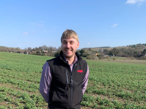 Supporting image for story: Tissue test crops ahead of winter 