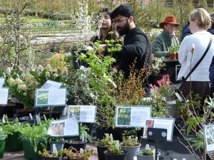  Sugnall Walled Garden Spring Plant Fair on Sunday 29th March