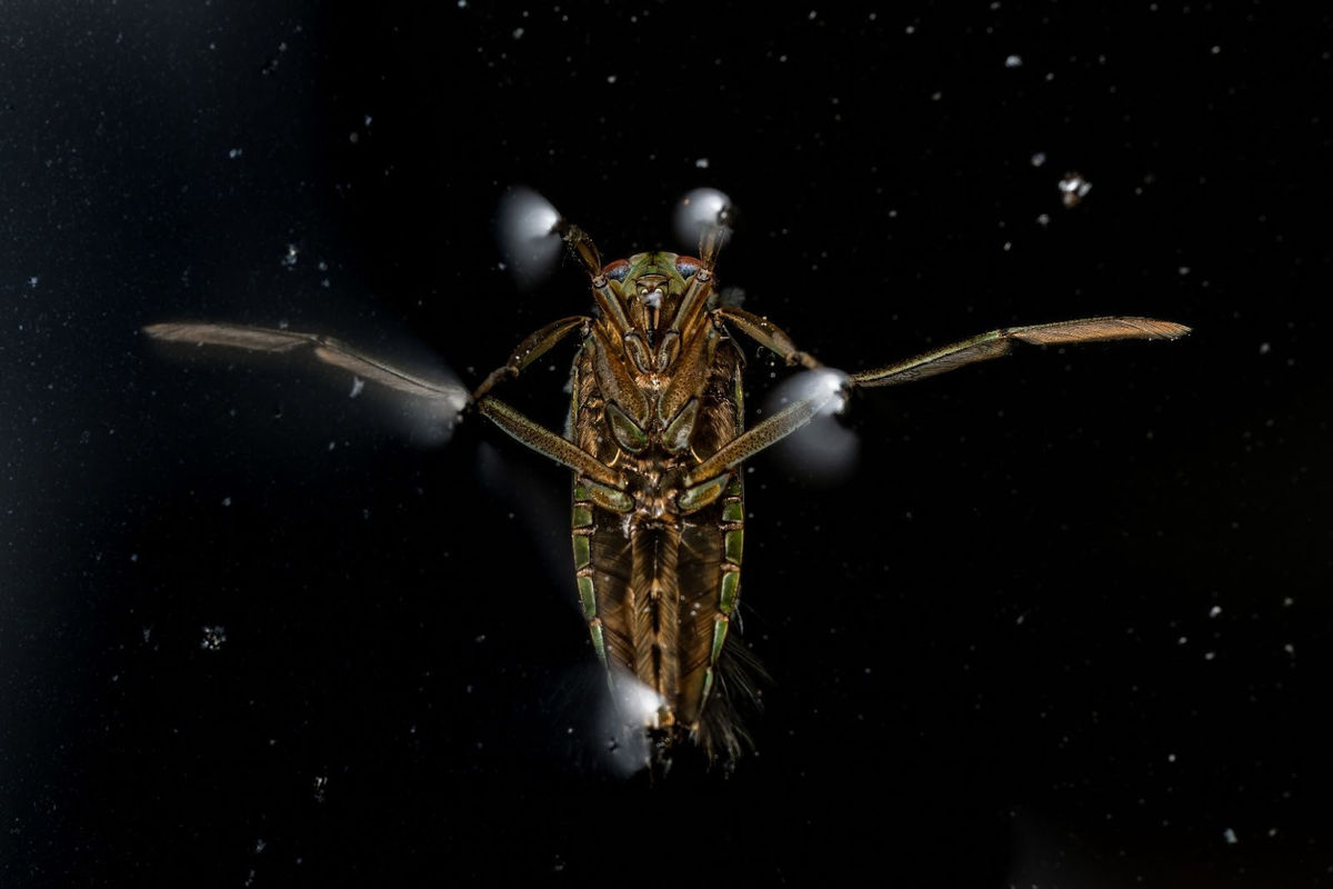 Mid Wales youngster scoops multiple prizes in young photography competition Mid Wales youngster scoops multiple prizes in young photography competition