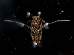 Supporting image for story: Mid Wales youngster scoops multiple prizes in young photography competition