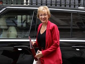 Supporting image for story: Tories to stand against Speaker John Bercow at next election, Leadsom says