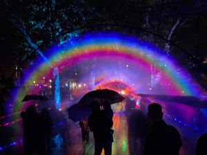 Supporting image for story: Rainbow laser projection lights up city festival