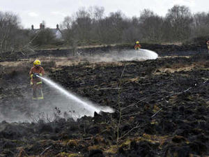 Supporting image for story: Grassland destroyed in blaze