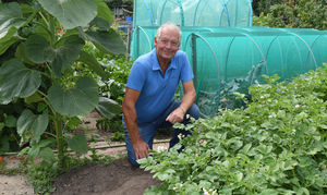 Don at his winning allotment