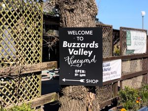 Supporting image for story: Buzzards Valley designated as Biodiversity Gain Site in landmark conservation milestone