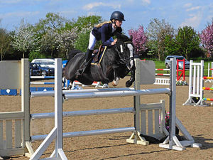Supporting image for story: Lily to mix it with the Equestrian elite