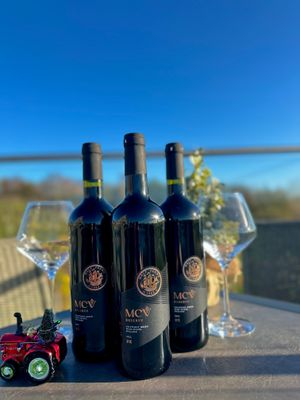 MCV Reserve bottles at Halfpenny Green Wine Estate