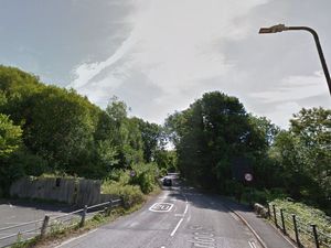 Supporting image for story: Severn Trent seeks permission to cut down eight trees for Ironbridge work