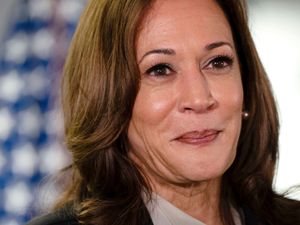 Supporting image for story: Democrats to push ahead with virtual roll call at convention, Harris favoured