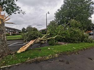 Supporting image for story: Clear-up after Storm Francis wreaks more havoc across region