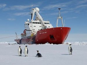 Supporting image for story: Scientists are heading to Antarctica to study a mysterious sea world hidden beneath ice for 120,000 years