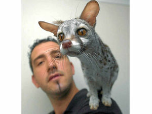 Supporting image for story: Animals seized from wildlife education centre