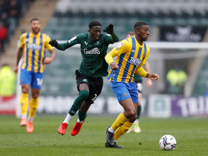 Supporting image for story: Loanee Tyrese Fornah eager to deliver for Shrewsbury Town