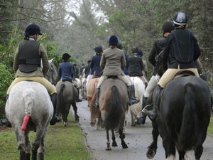 Supporting image for story: Hunt cancelled in the South Shropshire hills