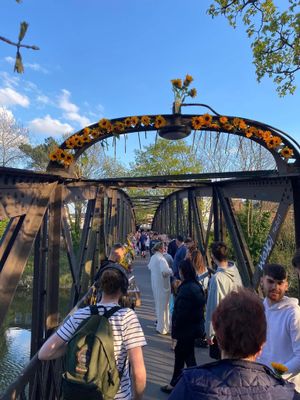 Greyfriar's Bridge has been decorated with sunflowers