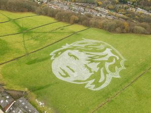 Supporting image for story