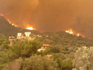 Supporting image for story: Shropshire couple in Greek wildfire drama